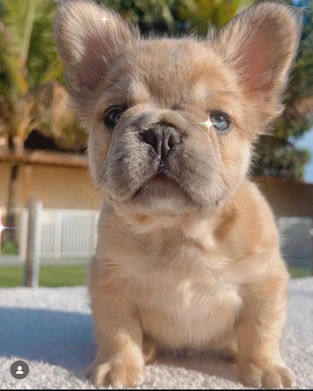 PHOTO-2025-09-04-08-02-56