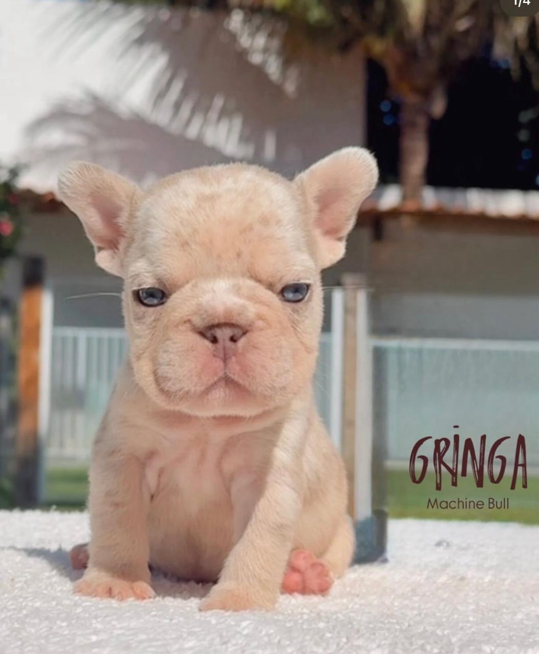 PHOTO-2025-09-04-08-02-56 4