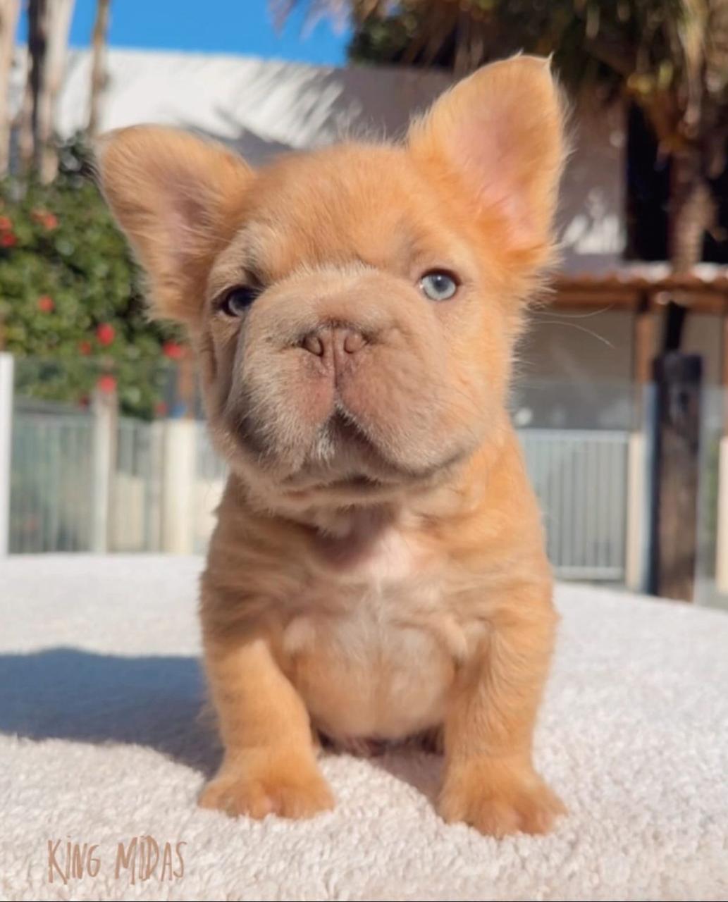 PHOTO-2025-09-04-08-02-56 5